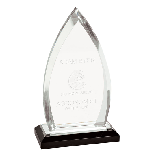 Silver Oval Acrylic Award
