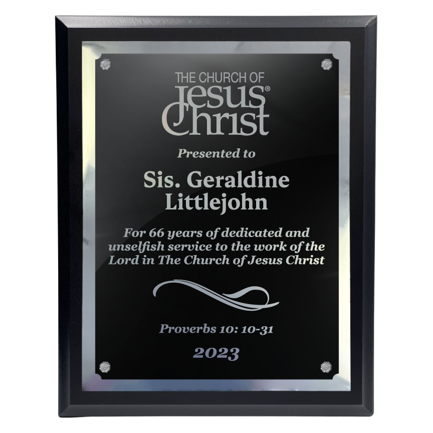 200 Series Black Finish Board with Metal Plate and Backplate