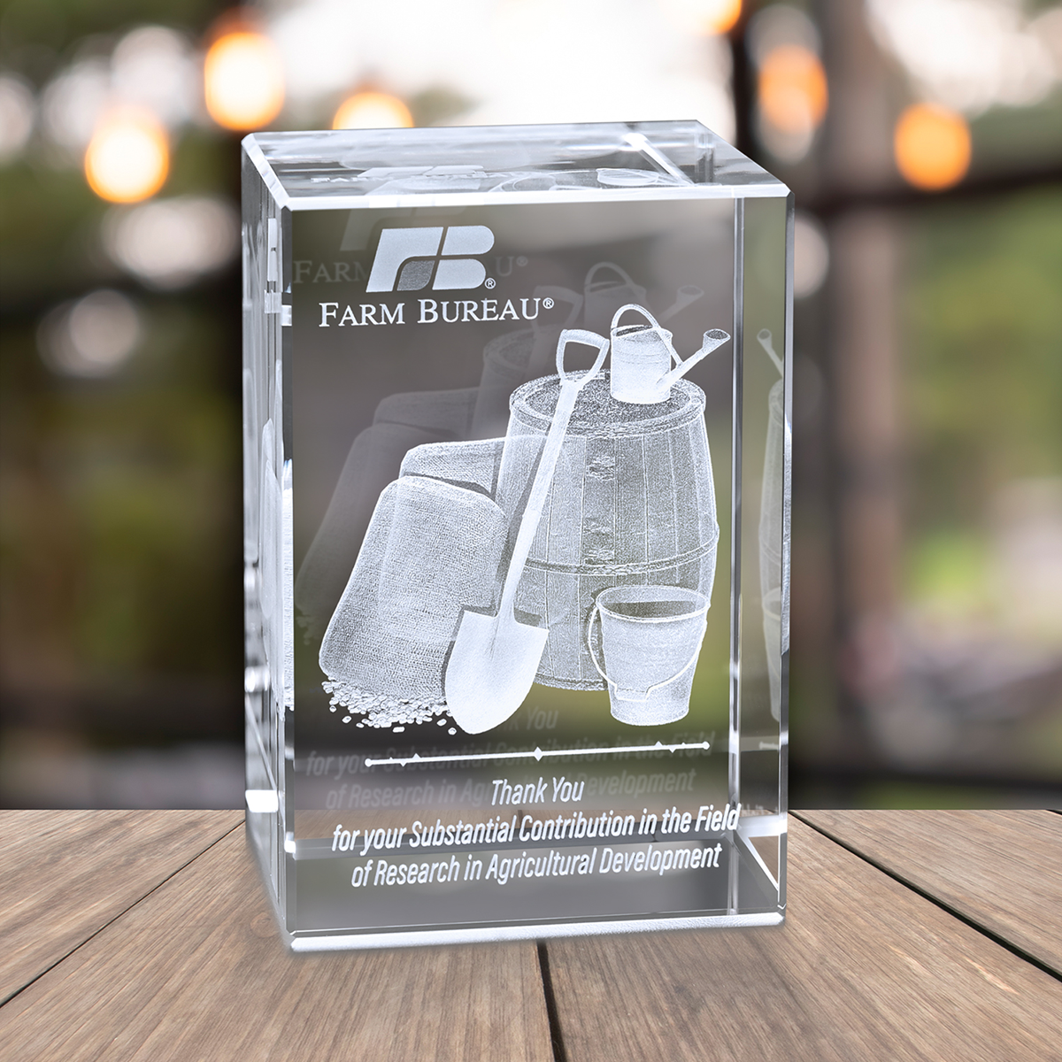 Chapin Rectangle Crystal Award