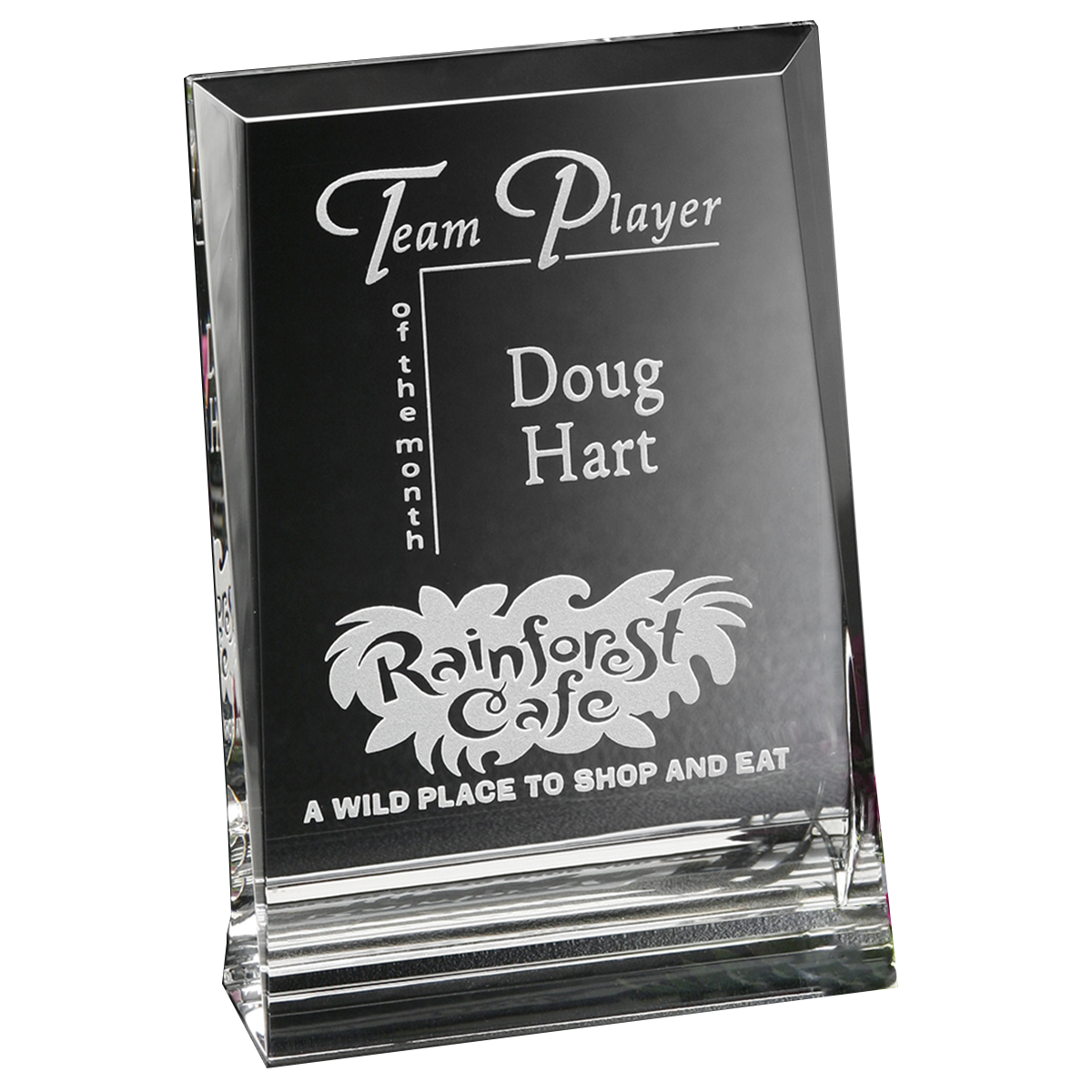 Ventura Crystal Award