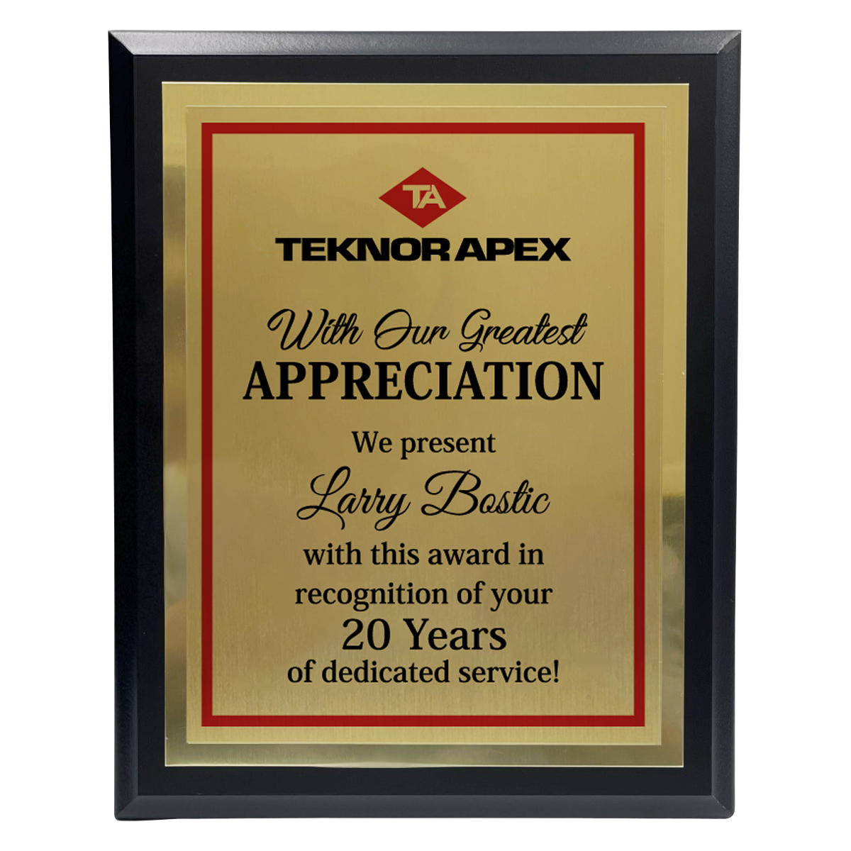 200 Series Black Finish Board with Metal Plate and Backplate