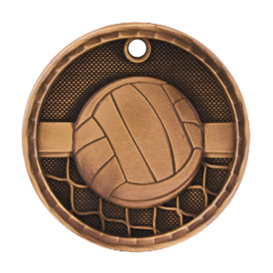3D Volleyball Medal