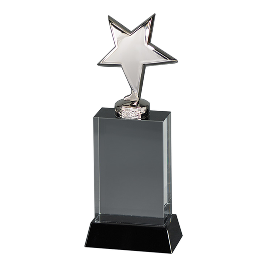 Metal Star Crystal Award