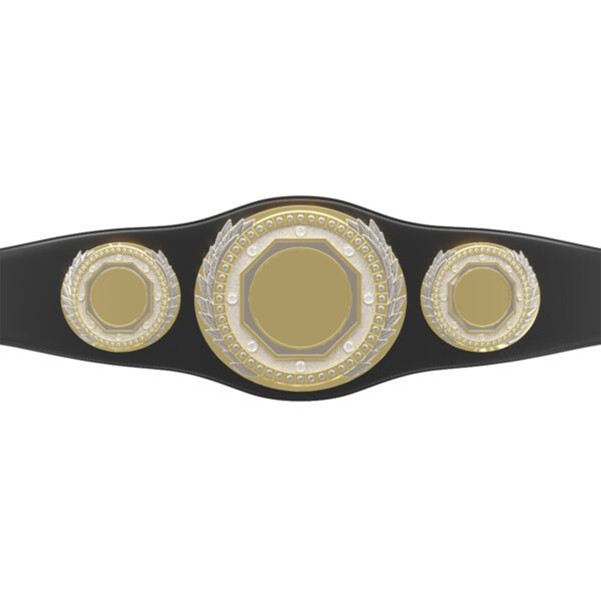 Presidential Championship Belt