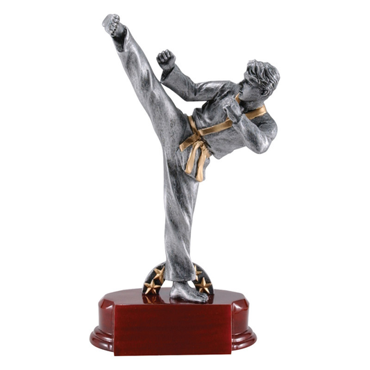 Karate Ultimate Resin Trophy (Male)