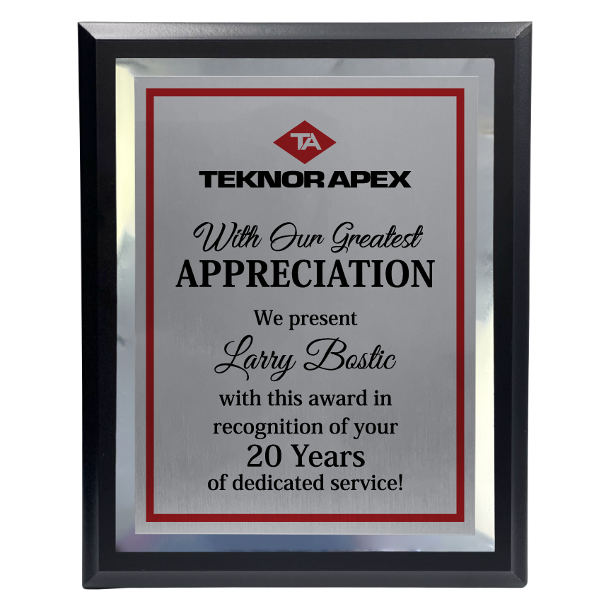 200 Series Black Finish Board with Metal Plate and Backplate