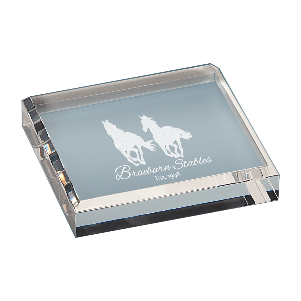 Clear Acrylic Paperweight