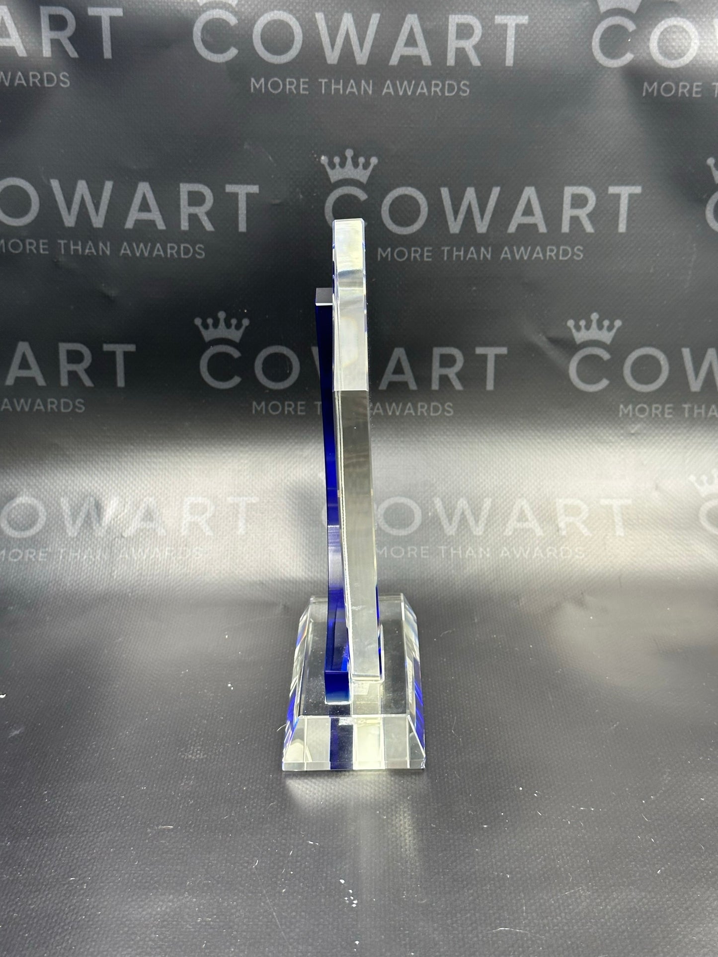 Chesapeake Crystal Award