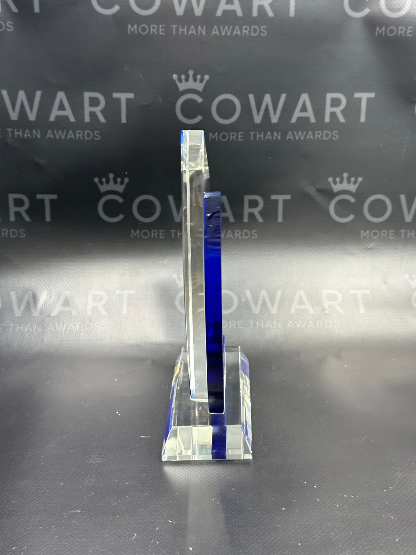 Chesapeake Crystal Award