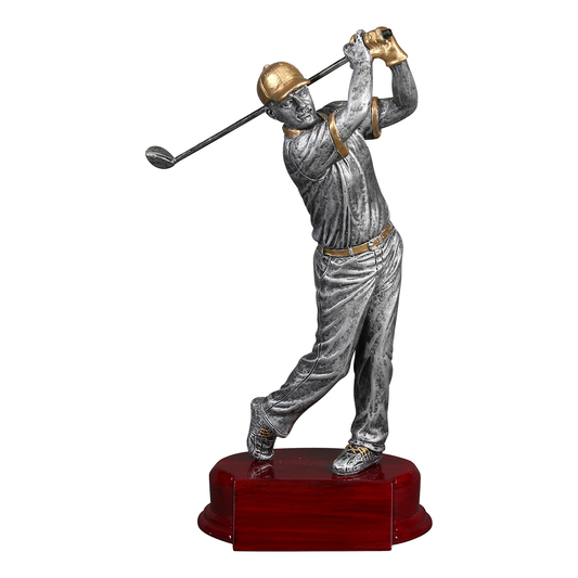 Modern Golfer Award (Male)
