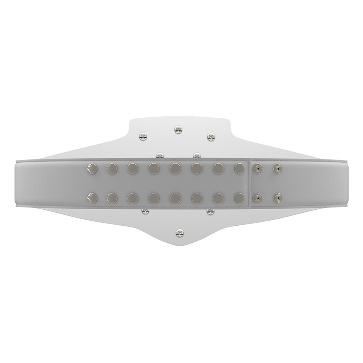 Bright Silver Shield Championship Belt in White