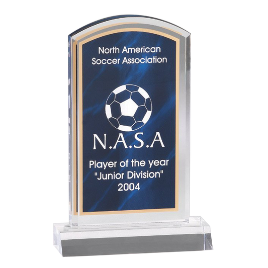Dome Acrylic Award with Blue Mist