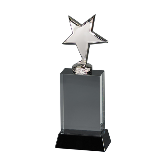 Metal Star Crystal Award