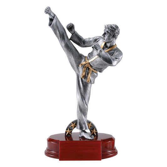 Karate Ultimate Resin Trophy (Male)