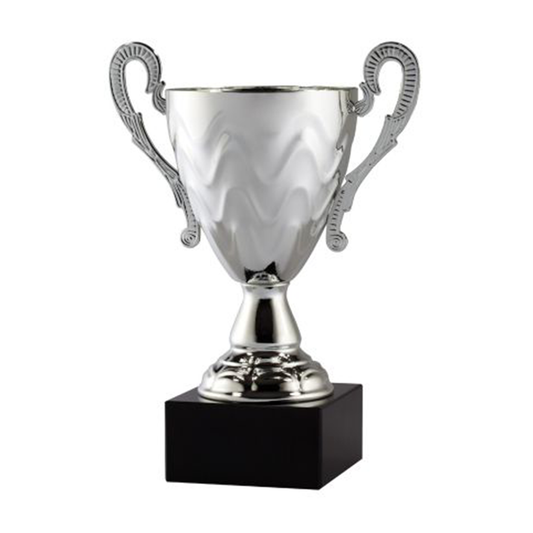 Silver Cup Trophy on Black Marble Base