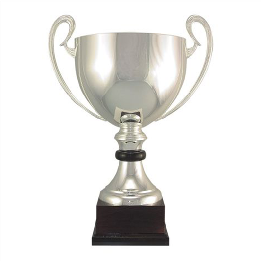 Silver and Black Cup Trophy on Black Marble