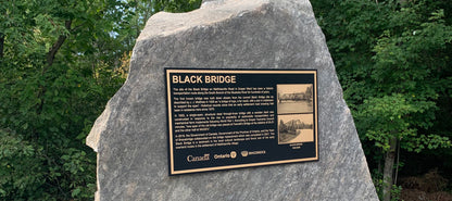 Precision Plaque
