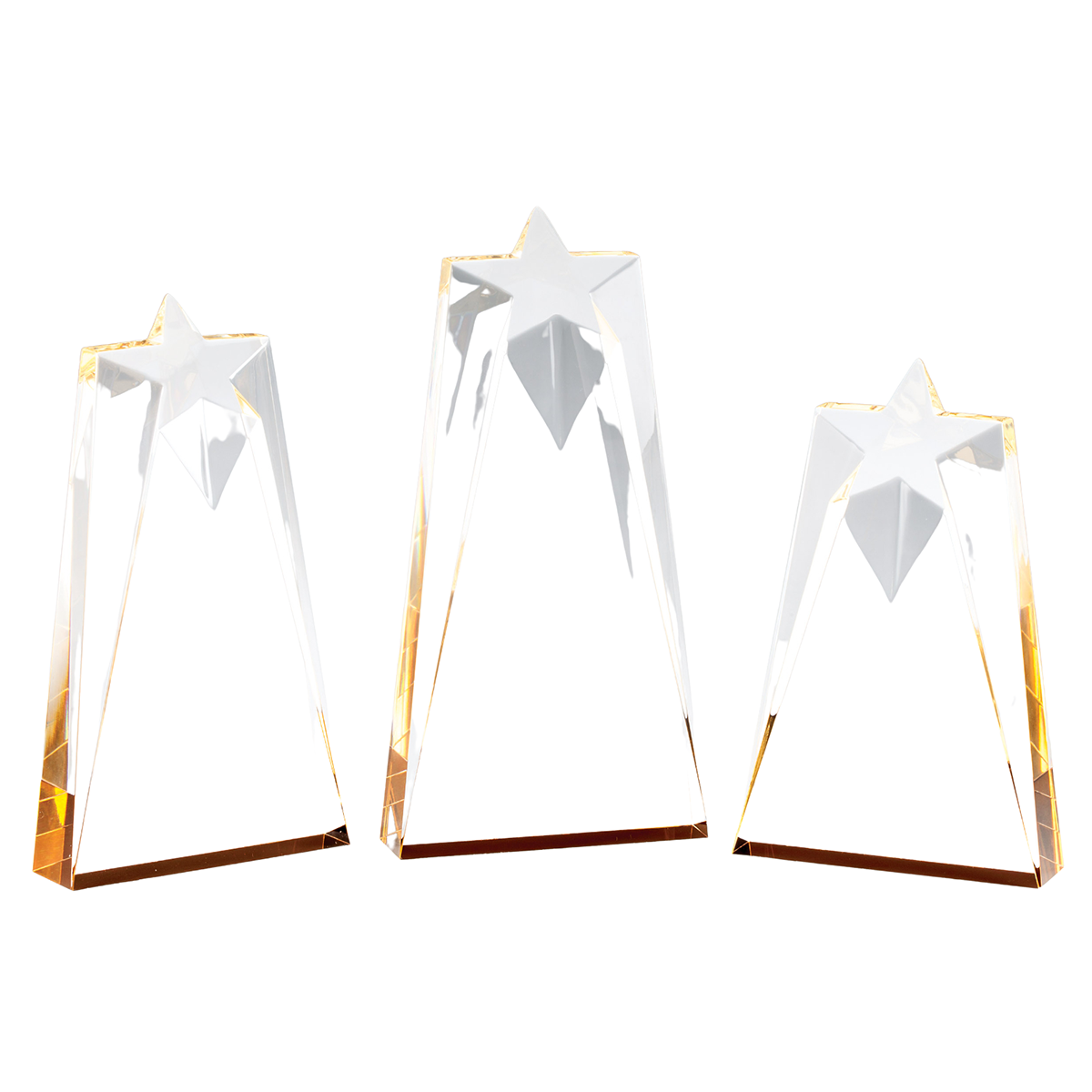 Gold Star Acrylic Lucite Award